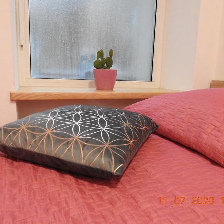 Apartma Ada Tolmin Exteriér fotografie