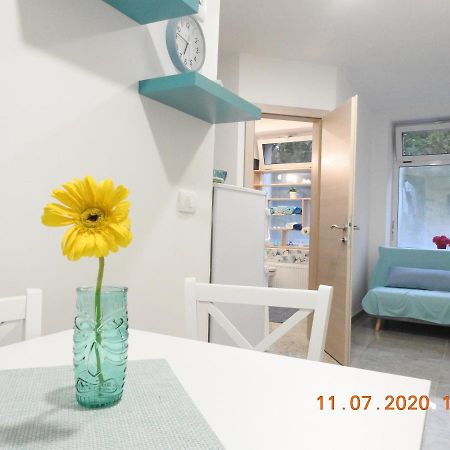 Apartma Ada Tolmin Exteriér fotografie
